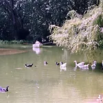Дом отдыха Casa Dos Capinha *