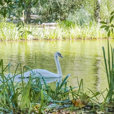 Vakantiehuis Casa Dos Capinha