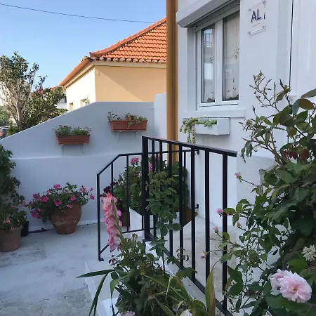 Дом отдыха Casa Dos Capinha