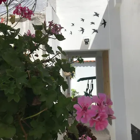 Casa de Férias Casa Dos Capinha *