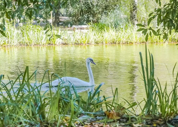 Casa de Férias Casa Dos Capinha
