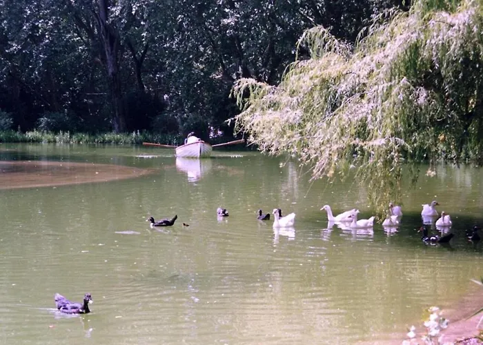 Ferienhaus Casa Dos Capinha *